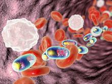 Tiêu diệt tế bào ung thư bằng phân tử nano từ lá trà - hy vọng mới cho những người đang điều trị ung thư phổi